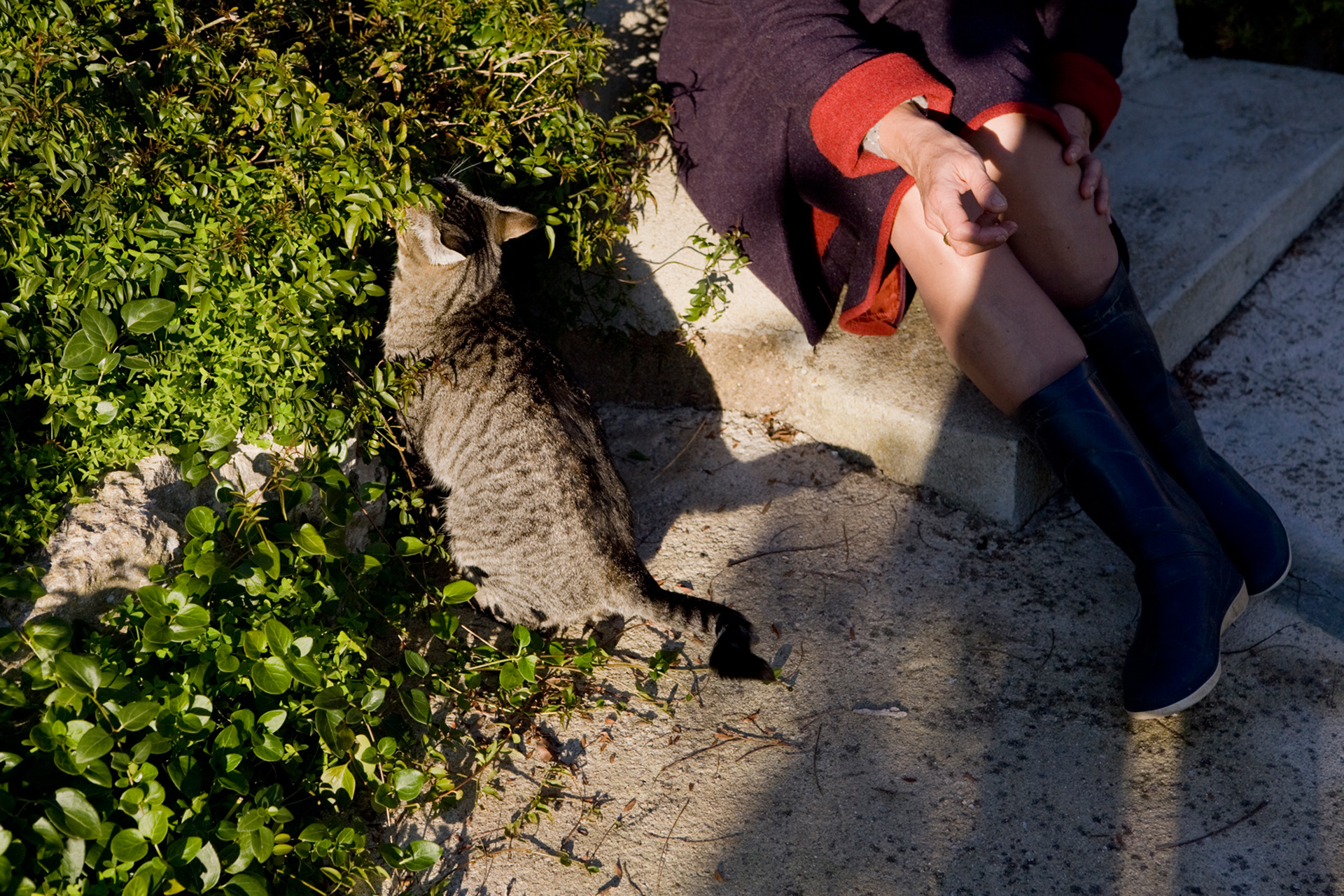 Ein portugiesisches Dorf, Katze und Frau