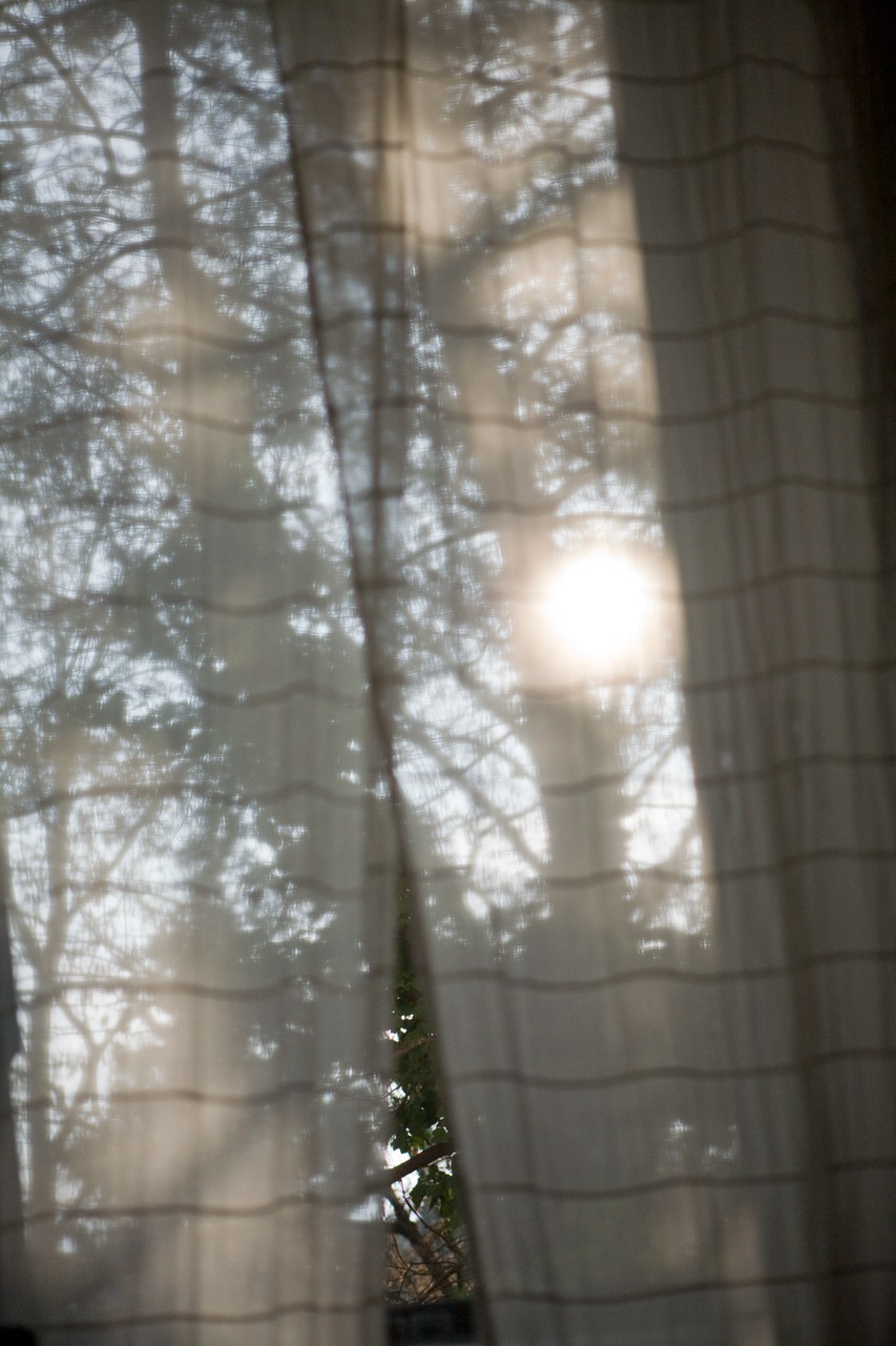 Dancing Shadows
